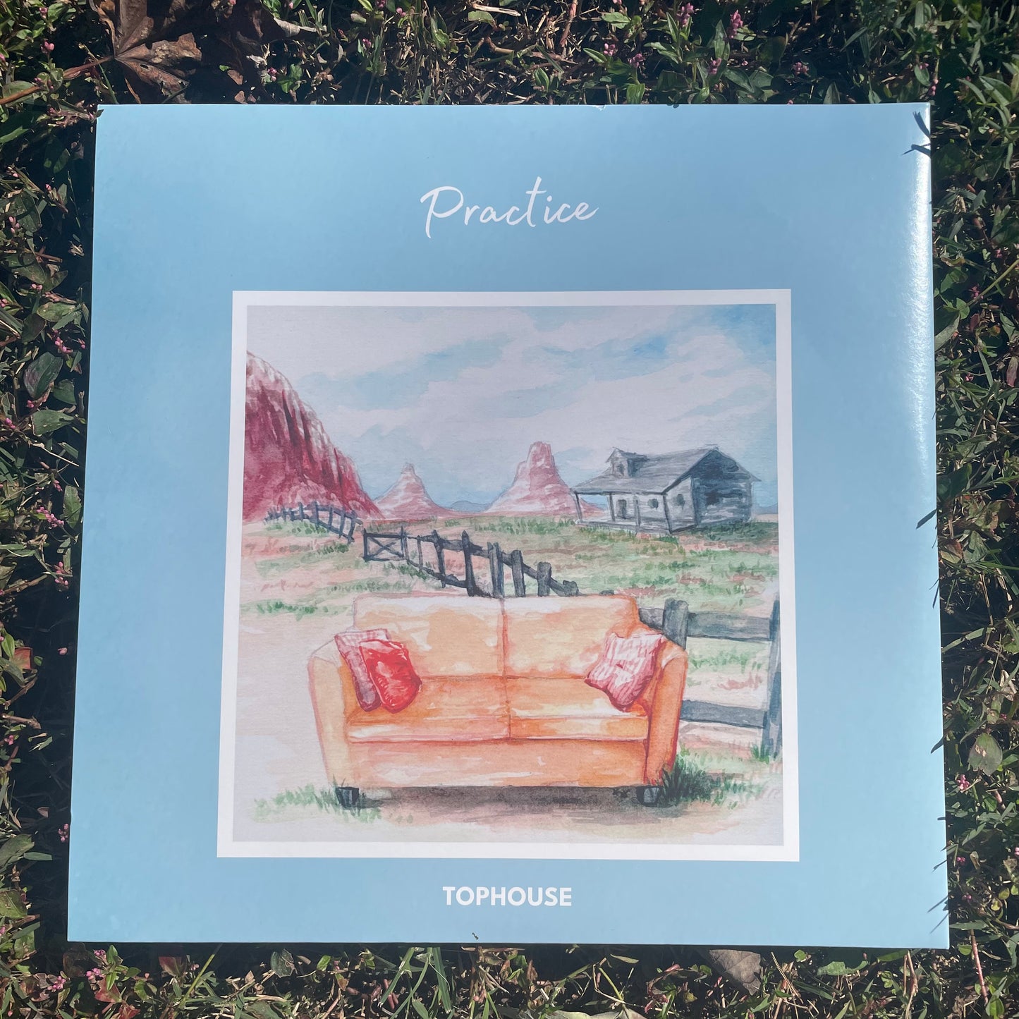 Theory & Practice Vinyl