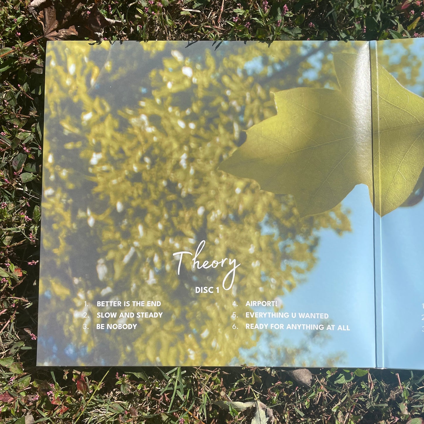 Theory & Practice Vinyl