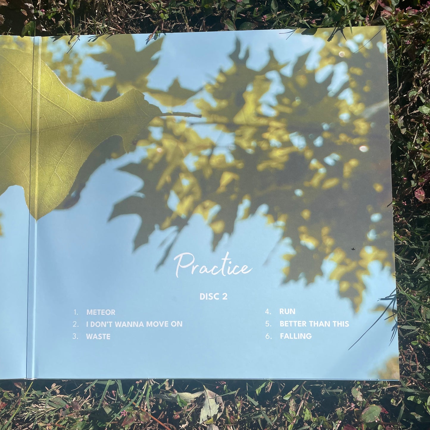 Theory & Practice Vinyl