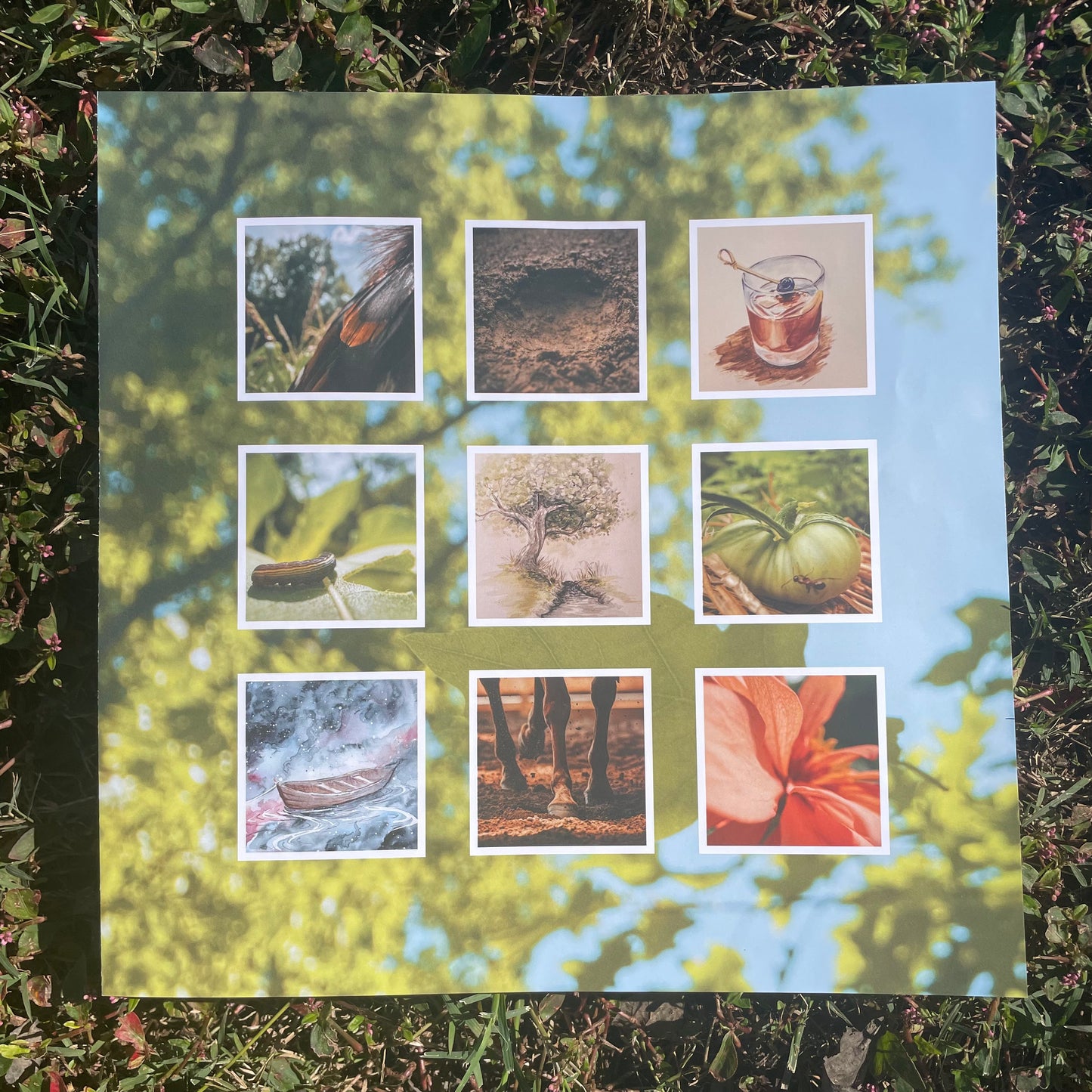 Theory & Practice Vinyl