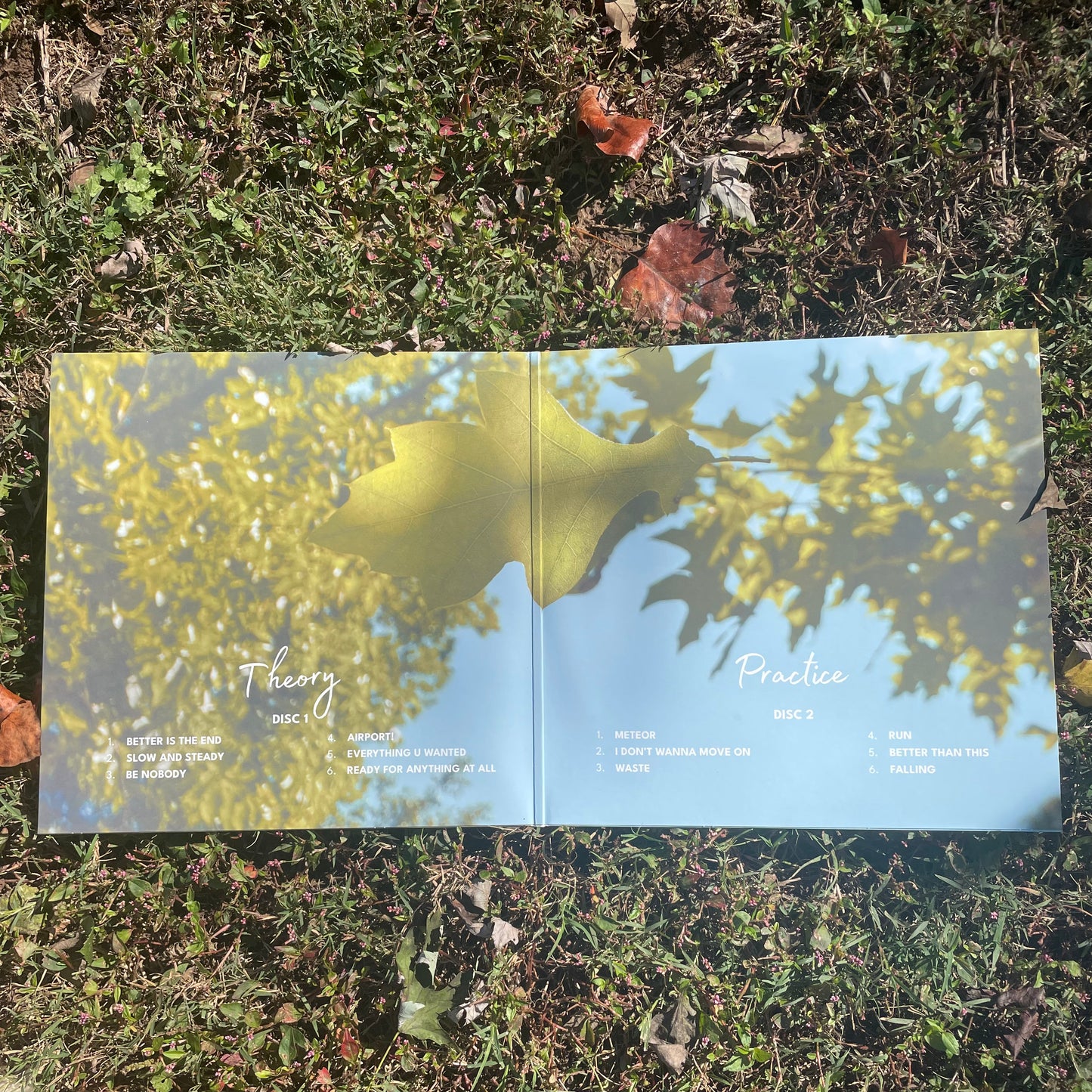 Theory & Practice Vinyl